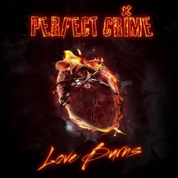 Perfect Crime : Love Burns